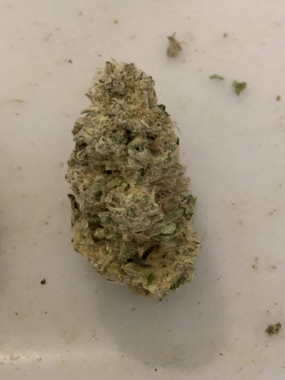 Kush Mints Strain Info / Kush Mints Weed By Purple City