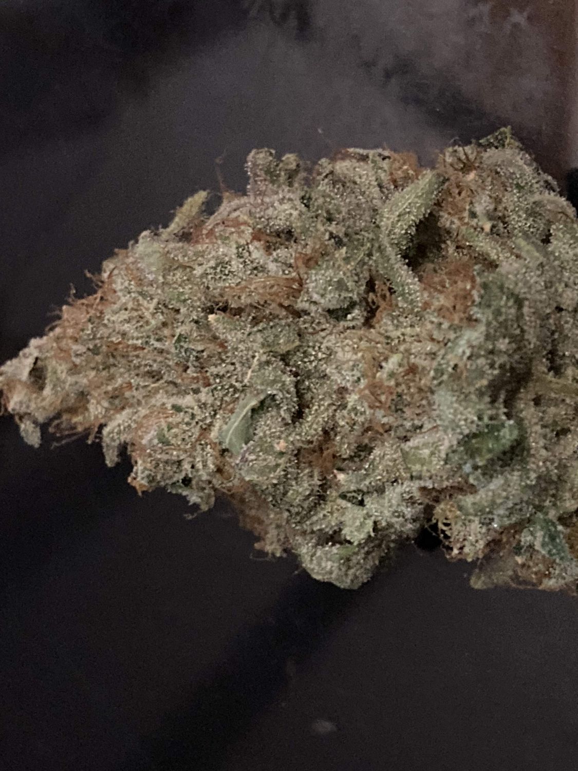 Wedding Cake Fem Strain Info / Wedding Cake Fem Weed By Canuk Seeds