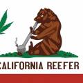 CaliGrown