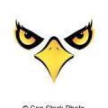 bird_of_prey