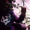 DoDrugs420