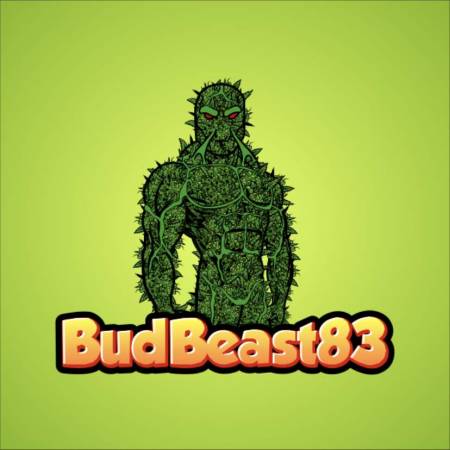 Bruce Banner 3.0 / Dark Horse Genetics: harvests - GrowDiaries