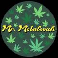 Mr_Motalovah