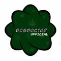 DogDoctor