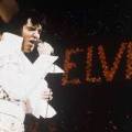 the_Elvis